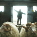 Una suggestiva immagine tratta da Rams - Storia di due fratelli e otto pecore di Grímur Hákonarson (Hrútar, Islanda 2015)