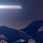 Momenti drammatici durante Headshot di The Mo Brothers (Indonesia, 2016)