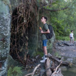 Jaeden Lieberher verso la tana del Lupo in It di Andy Muschietti (USA, Canada 2017)