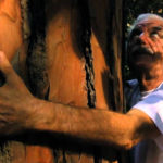 Una curiosa immagine tratta da Io sono nulla di Fabio Del Greco (Italia, 2016)