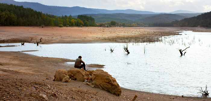 L’albero dei frutti selvatici