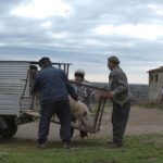 La vita rurale nel documentario Lorello e Brunello di Jacopo Quadri (Italia, 2017)