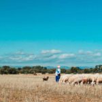 Momenti bucolici durante Inland/Meseta di Juan Palacios (Spagna, 2019)