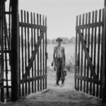 Una significativa immagine tratta da The Painted Bird di Václav Marhoul (Repubblica Ceca, Slovacchia, Ucraina 2019)