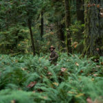 Immersione nella natura durante First Cow di Kelly Reichardt (USA, 2019)