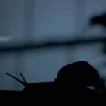 La lumaca protagonista in una suggestiva immagine dal corto The Sound of a Wild Snail Eating di Elisabeth Tova Bailey (USA, 2019)