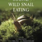 La locandina originale del corto The Sound of a Wild Snail Eating di Elisabeth Tova Bailey (USA, 2019)
