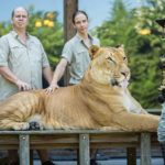 Un'altra "immagine-ricordo" da Tiger King, serie tv creata da Eric Goode (USA, 2020)