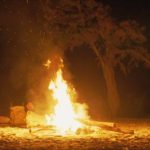 Un'altra, suggestiva, immagine da In viaggio verso un sogno di Tyler Nilson e Michael Schwartz (The Peanut Butter Falcon, USA 2019)