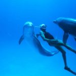 Una simbolica immagine tratta dal documentario L'uomo delfino di Lefteris Charitos (Dolphin Man, Grecia, Francia, Italia, Giappone, Svizzera, Svezia, Canada 2017)