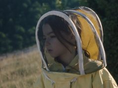 20.000 specie di api