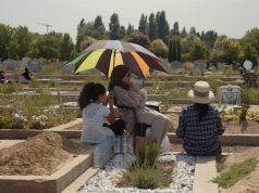 Those Who Watch Over