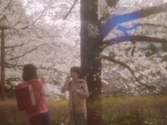 5 Centimeters Per Second