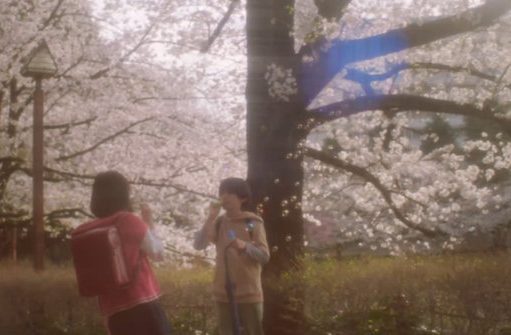 5 Centimeters Per Second