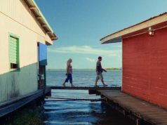 Il sentiero azzurro (DVD)