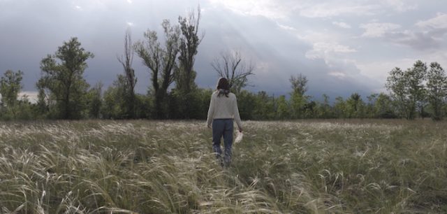 Anguane, le voci dell’acqua cover