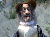 I fili dell’anima