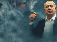 The Bibi Files